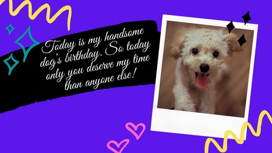 Birthday Wishes for Dogs